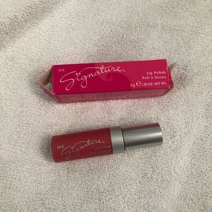 NWT MARY KAY SIGNATURE LIP POLISH- CIDER